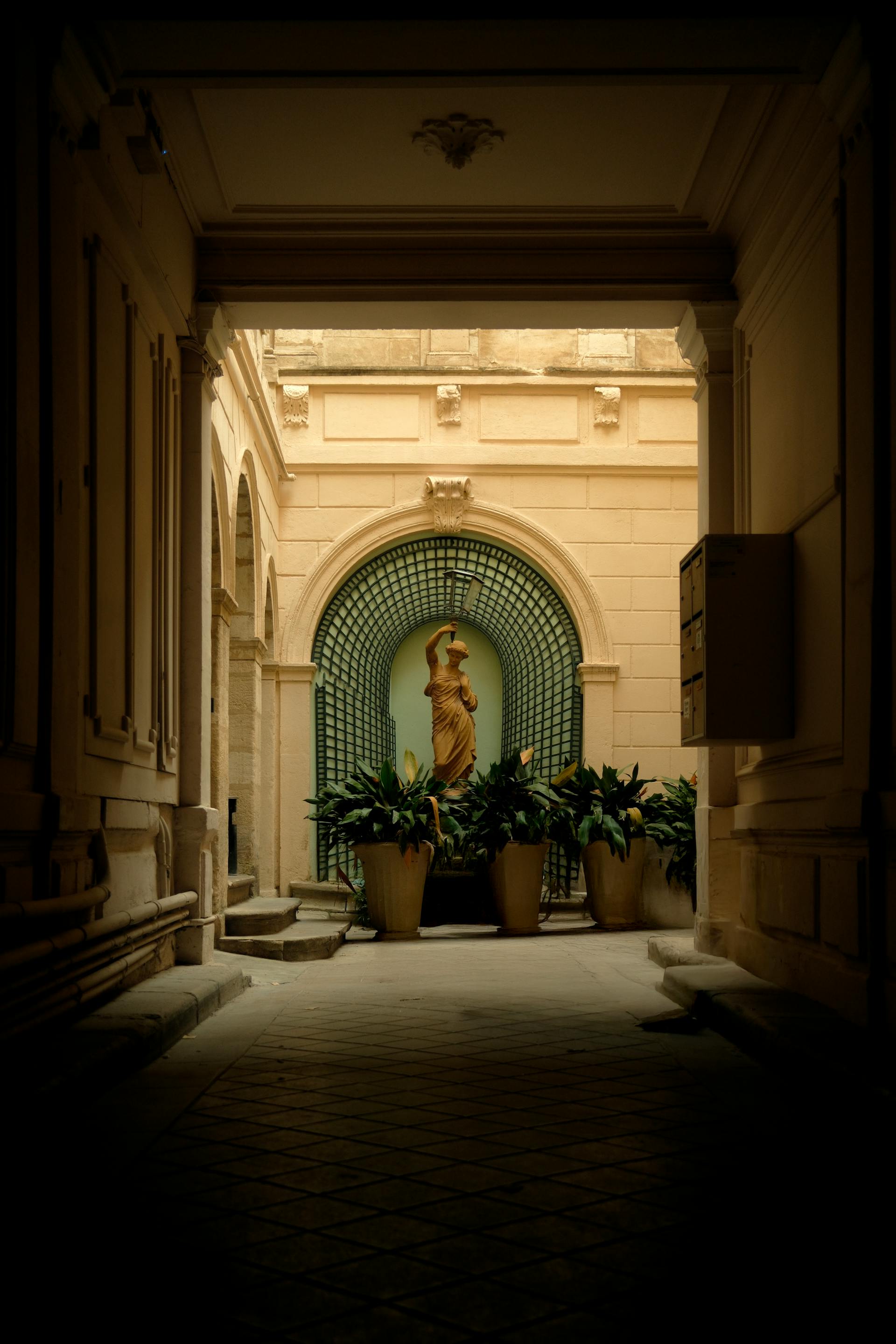 Image de présentation